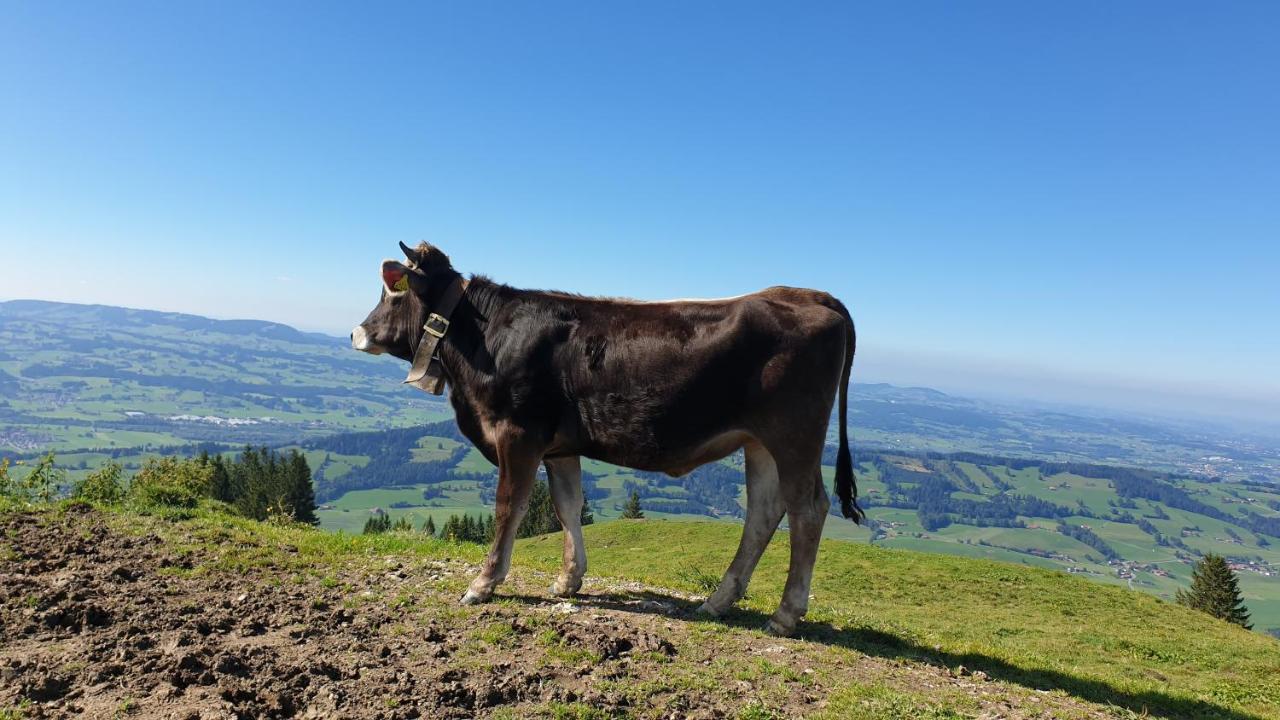 Allgaeu Bergluft Weitnau Екстериор снимка