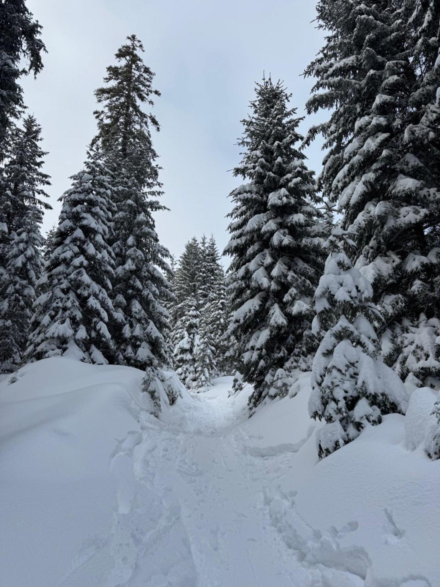 Allgaeu Bergluft Weitnau Екстериор снимка