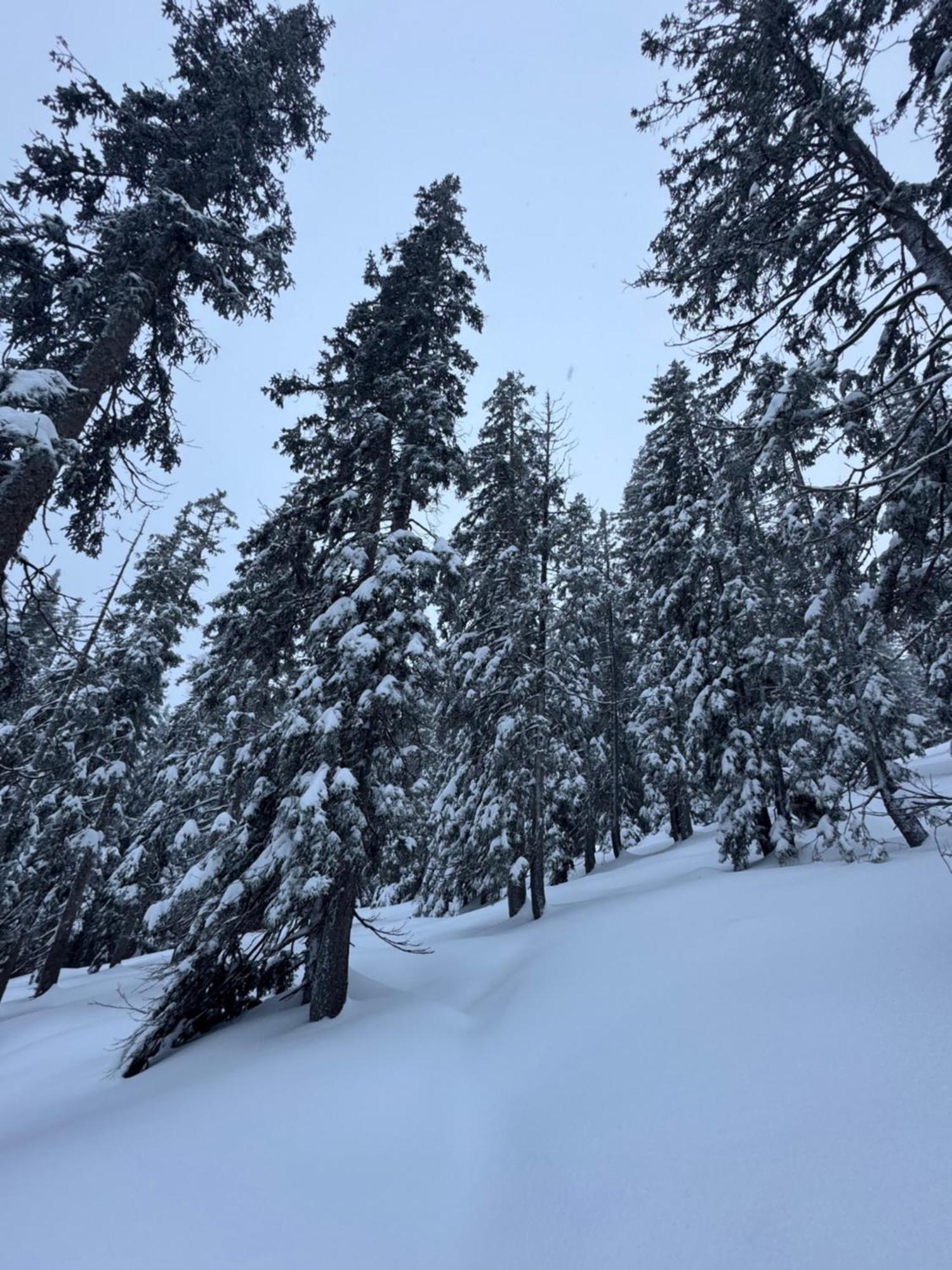 Allgaeu Bergluft Weitnau Екстериор снимка
