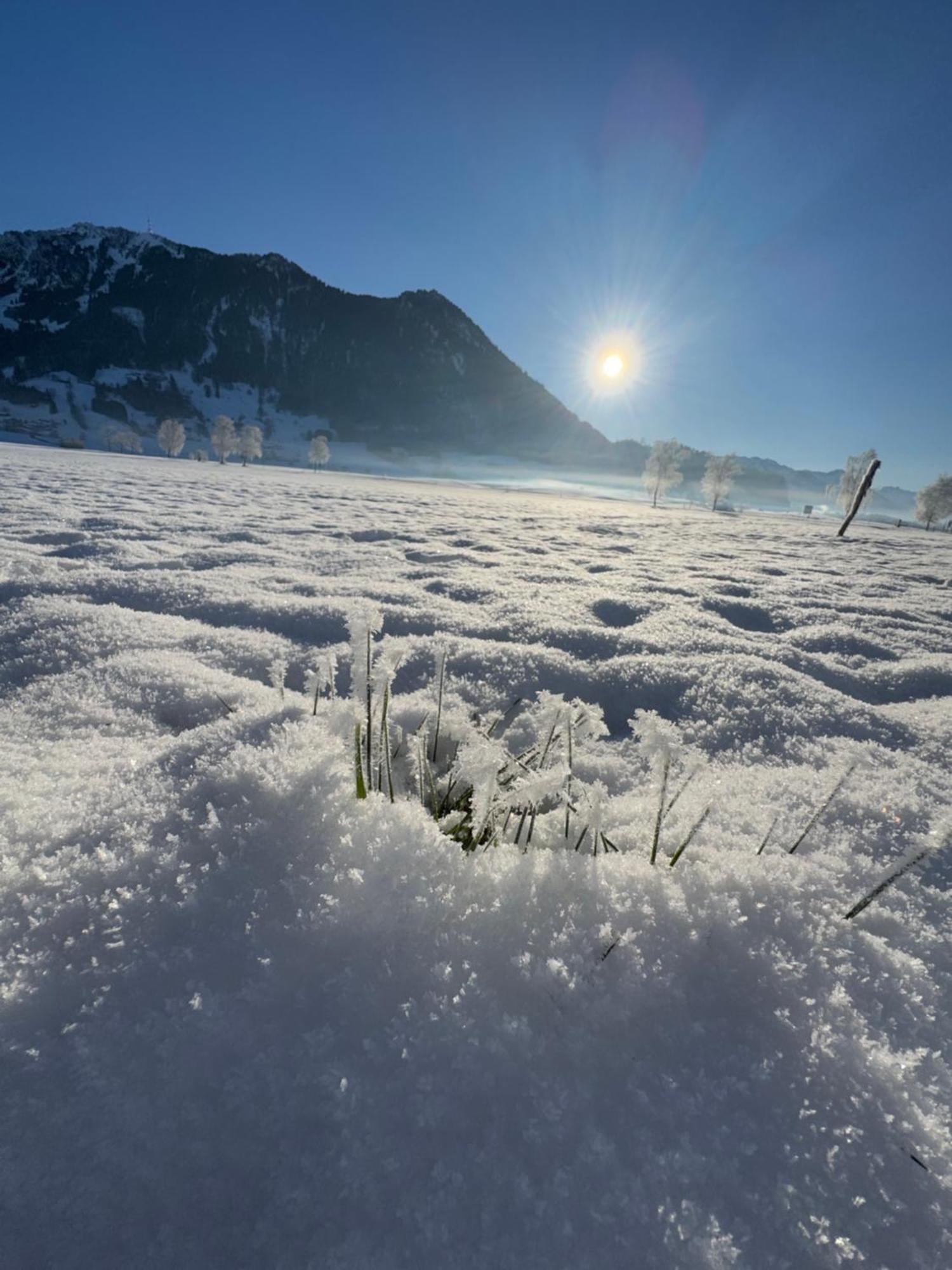 Allgaeu Bergluft Weitnau Екстериор снимка