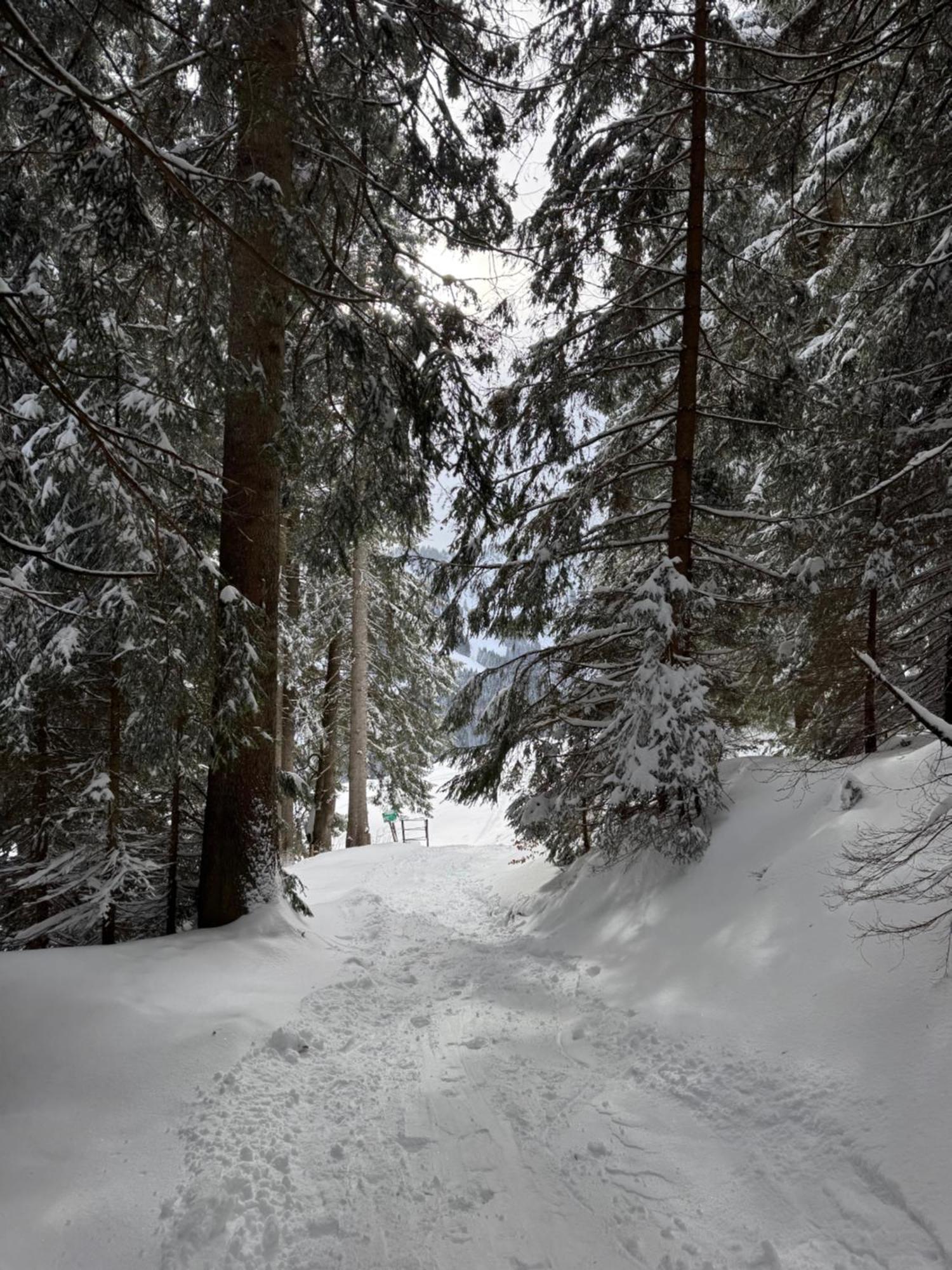 Allgaeu Bergluft Weitnau Екстериор снимка