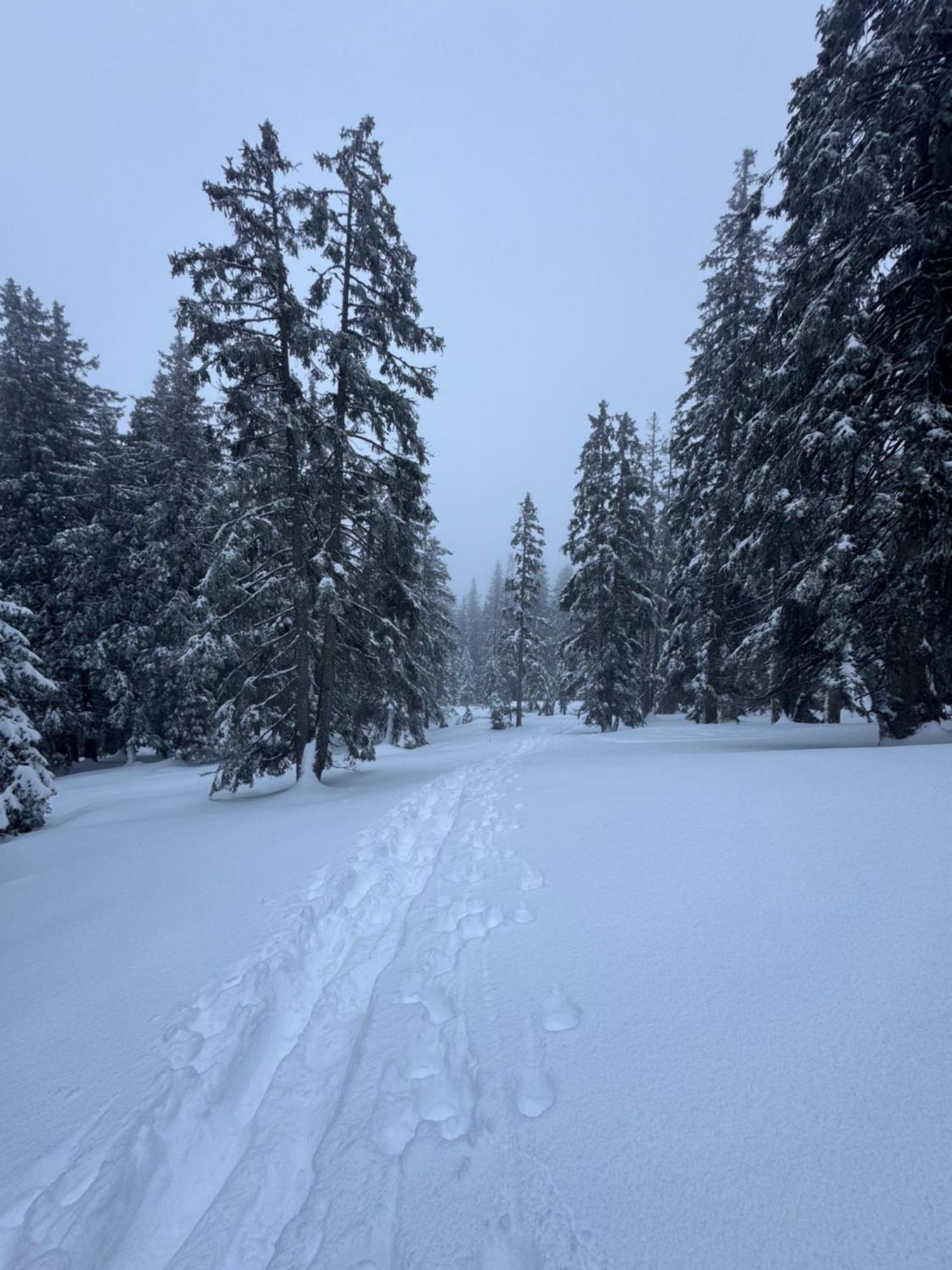 Allgaeu Bergluft Weitnau Екстериор снимка