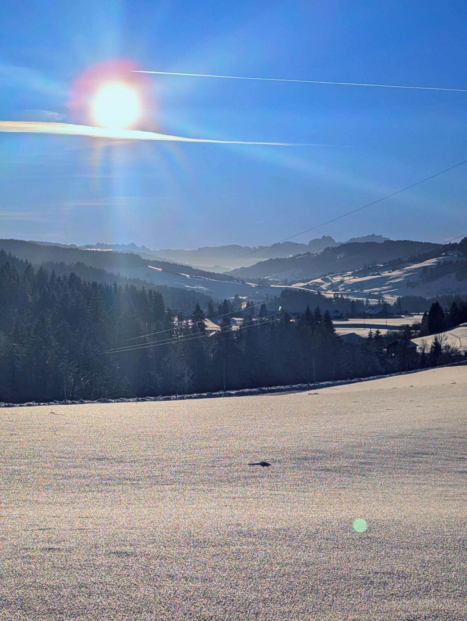 Allgaeu Bergluft Weitnau Екстериор снимка